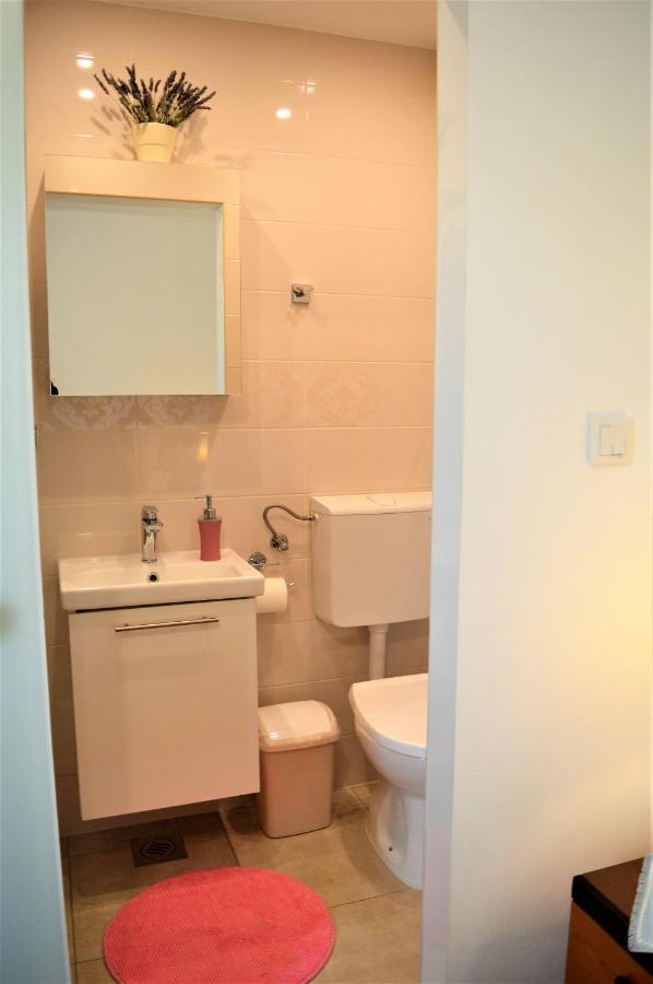 Apartment Marija Vrh  المظهر الخارجي الصورة